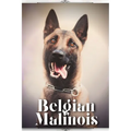 Belgian Malinois: Dog breed overview and guide - Paperback