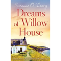 Dreams of Willow House: Gripping, heartwarming Irish fiction full of family secrets - Paperback