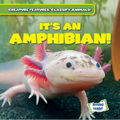 It's an Amphibian! - Library Binding