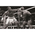 The Boxing Register: International Boxing Hall of Fame Official Record Book - Paperback