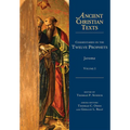 Commentaries on the Twelve Prophets: Volume 1 - Hardcover