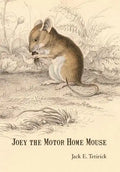 Joey the Motor Home Mouse - Hardcover