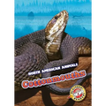 Cottonmouths - Library Binding