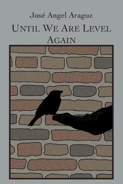 Until We Are Level Again - Paperback