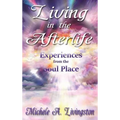 Living in the Afterlife - Experiences from the Soul Place - Hardcover