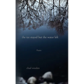 The ice stayed but the water left - Paperback