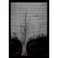 Handwritten Letters to the Devil - Hardcover