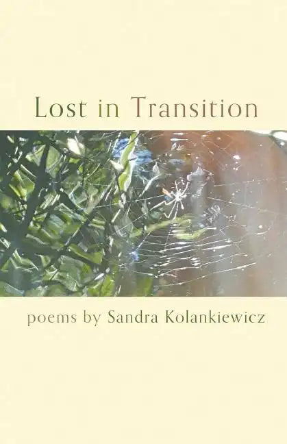 Lost in Transition - Paperback
