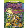 The Secret of the Flying Saucer - Hardcover