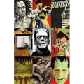 Frankenstein: A Cultural History - Hardcover