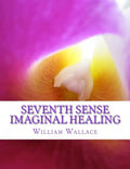 Seventh Sense Imaginal Healing: An homage to Dr. Richard Bartlett, Benjamin Bibb, Barbara Ann Brennan, Donna Eden, Dr. Meg Blackburn Losey, Dr. Gerald - Paperback