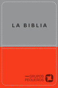 Biblia Para Grupos Pequeños - Nbv Lujo - Leather