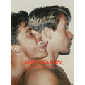 Andy Warhol: Velvet Rage and Beauty - Hardcover
