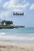 Wonderful Nature Island: Picture book gift for seniors with Dementia or patients with Alzheimer's. 40 full color photographs of island landscap - Paperback