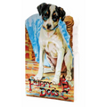 Puppy Dog's ABC Shape Book - Hardcover