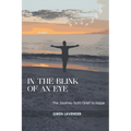 In the Blink of an Eye: The Journey from Grief to Hope - Paperback