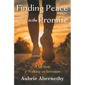 Finding Peace in the Promise: A Memoir of Walking with Intention - Paperback