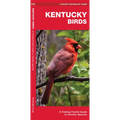 Kentucky Birds: A Folding Pocket Guide to Familiar Species - Paperback