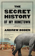 The Secret History of My Hometown - Paperback