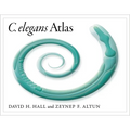 C. Elegans Atlas - Spiral