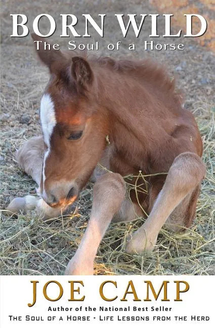 Born Wild - The Soul of a Horse - Paperback
