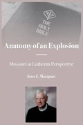 Anatomy of an Explosion - Paperback
