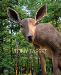 Tony Tasset - Hardcover