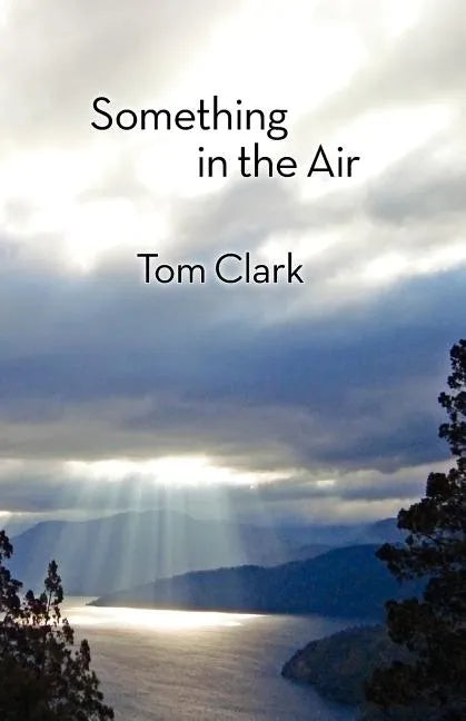 Something in the Air - Paperback