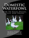 Domestic Waterfowl: How To Raise Ducks, Geese and Swans - Paperback
