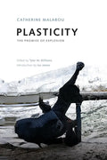 Plasticity: The Promise of Explosion - Paperback