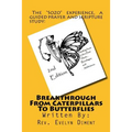 Breakthrough From Caterpillars to Butterflies: : Healing from past Hurts, Bondages and Addictions - Paperback