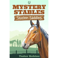 Stolen Saddles: A fun-filled mystery featuring best friends and horses - Paperback