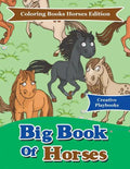 Big Book of Horses - Coloring Books Horses Edition - Paperback