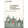 Hidden Lives of Congregations: Discerning Church Dynamics - Paperback