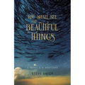 You Shall See the Beautiful Things: A Novel & a Nocturne - Paperback