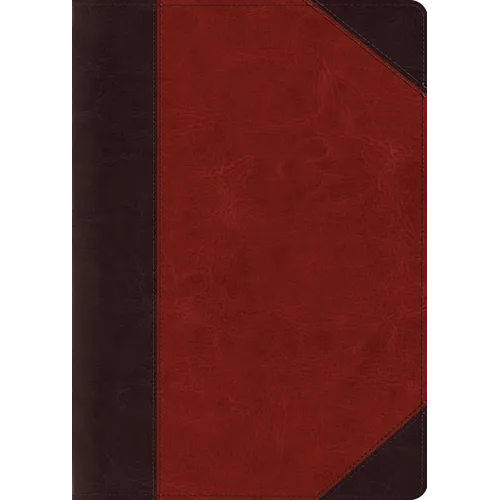 ESV Study Bible, Large Print (Trutone, Brown/Cordovan, Portfolio Design) - Imitation Leather