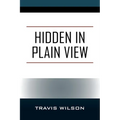 Hidden in Plain View - Paperback