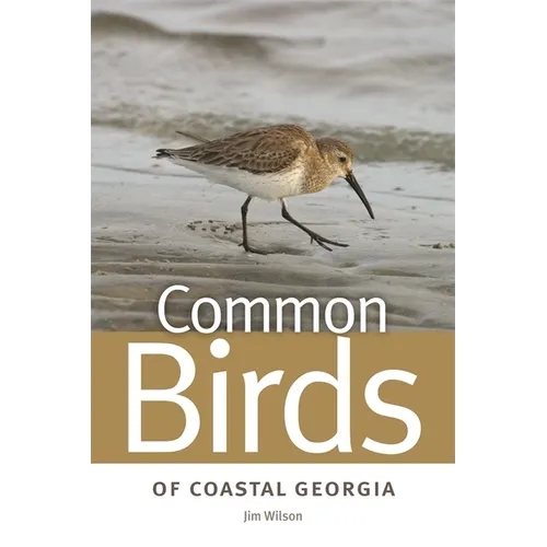 Common Birds of Coastal Georgia - Paperback