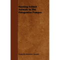 Hunting Extinct Animals In The Patagonian Pampas - Paperback