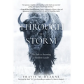 Through the Storm: The Path to Becoming a Resilient Leader - Hardcover