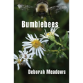 Bumblebees - Paperback