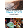 Between the Tides in California: Exploring Beaches and Tidepools - Paperback