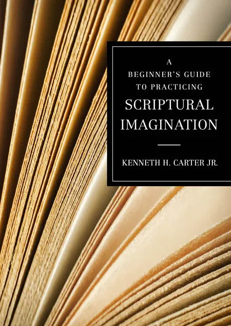 A Beginner's Guide to Practicing Scriptural Imagination - Paperback