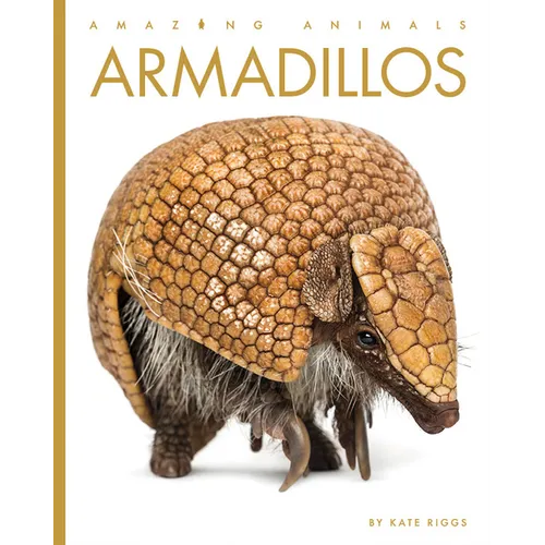 Armadillos - Paperback