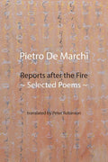 Reports after the Fire: Selected Poems - Paperback