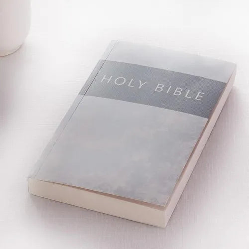 KJV Budget Softcover Silver - Paperback
