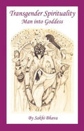 Transgender Spirituality: Man Into Goddess - Paperback