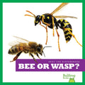 Bee or Wasp? - Paperback