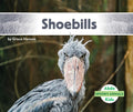 Shoebills - Library Binding