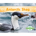 Antarctic Shag - Library Binding